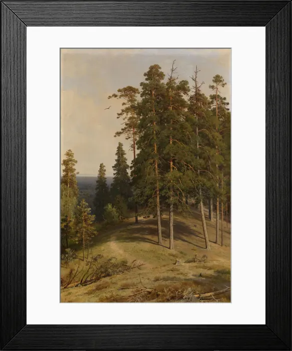 Framed Print : The Pine Forest, 1895. Artist: Shishkin, Ivan Ivanovich (1832-1898) Framed Print : The Pine Forest, 1895. Artist: Shishkin, Ivan Ivanovich (1832-1898)