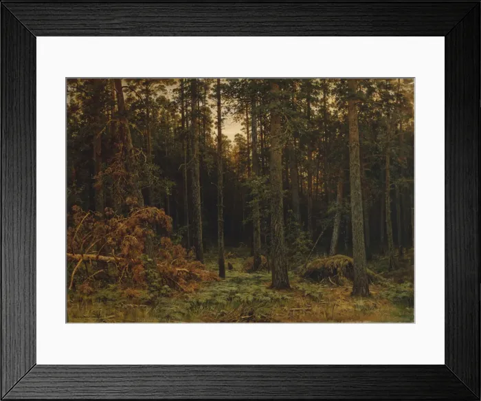 Framed Print : Pinewood, 1885. Artist: Shishkin, Ivan Ivanovich (1832-1898) Framed Print : Pinewood, 1885. Artist: Shishkin, Ivan Ivanovich (1832-1898)