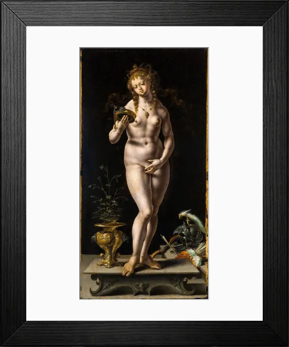 Framed Print : Vanitas, 1520-1524 Framed Print : Vanitas, 1520-1524