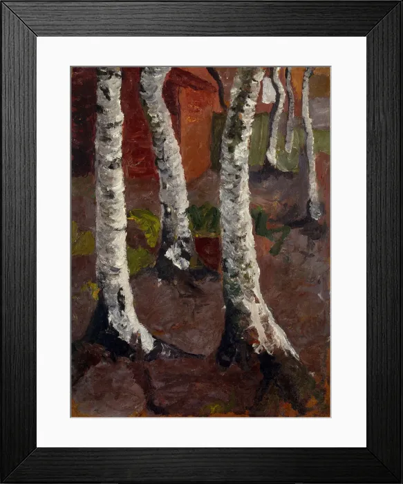 Framed Print : Birch trees in front of red house wall, ca 1901 Framed Print : Birch trees in front of red house wall, ca 1901