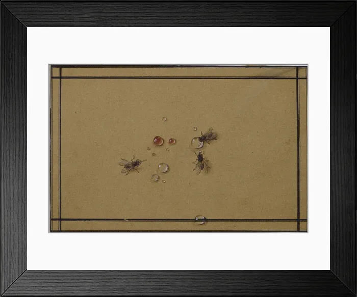 Framed Print : The flies at the waterdrops. Artist: Tolstoy, Fyodor Petrovich (1783-1873) Framed Print : The flies at the waterdrops. Artist: Tolstoy, Fyodor Petrovich (1783-1873)