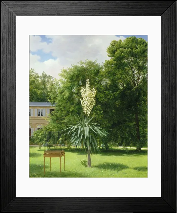 Framed Print : Yucca Gloriosa in the Park at Neuilly, 1845 Framed Print : Yucca Gloriosa in the Park at Neuilly, 1845