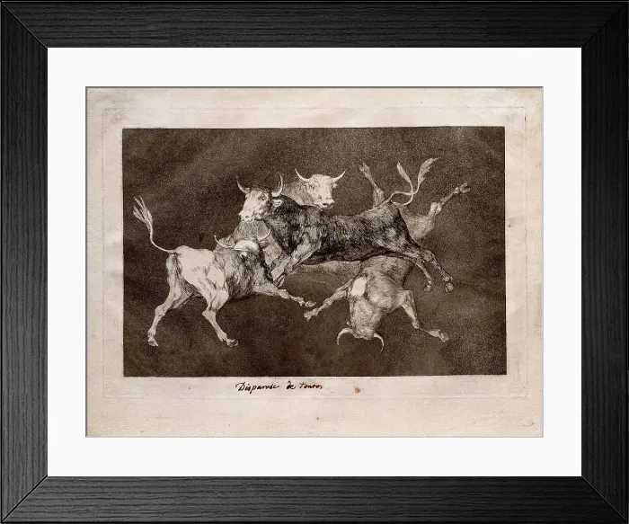 Framed Print : Fools Folly (from the series Los Disparates (Follies), 1815-1819. Artist: Goya, Francisco, de (1746-1828) Framed Print : Fools Folly (from the series Los Disparates (Follies), 1815-1819. Artist: Goya, Francisco, de (1746-1828)