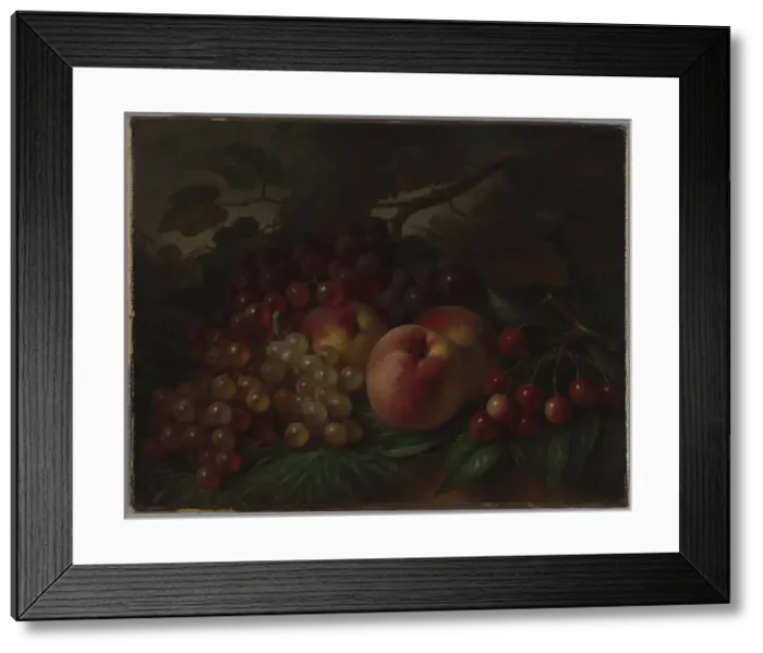 Framed Print : Peaches, Grapes and Cherries, ca 1860-1870. Artist: Hall, George Henry (1825-1913) Framed Print : Peaches, Grapes and Cherries, ca 1860-1870. Artist: Hall, George Henry (1825-1913)