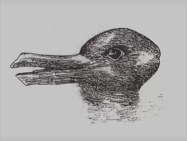 Duck-Rabbit illusion. From: Jastrow, J. The minds eye. Popular Science Monthly, 1899. Artist: Jastrow, Joseph (1863-1944)
