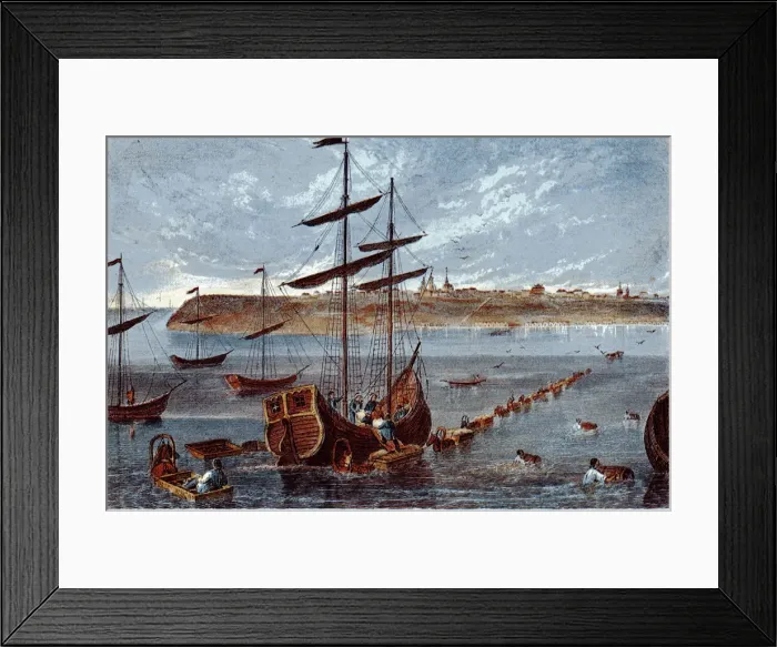 Framed Print : View of Taganrog, c. 1840. Artist: Anonymous Framed Print : View of Taganrog, c. 1840. Artist: Anonymous