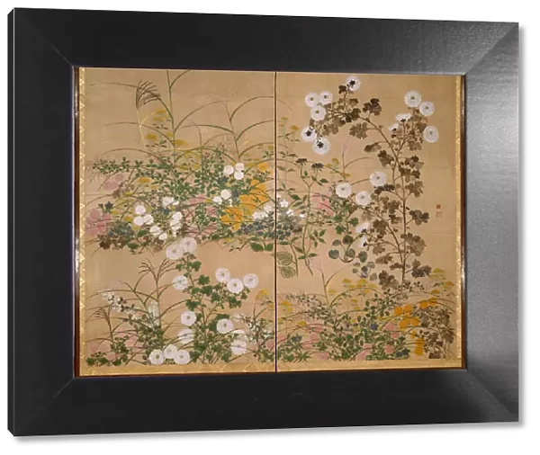 Flowering Plants in Autumn, 18th century. Artist: Korin, Ogata (1658-1716)