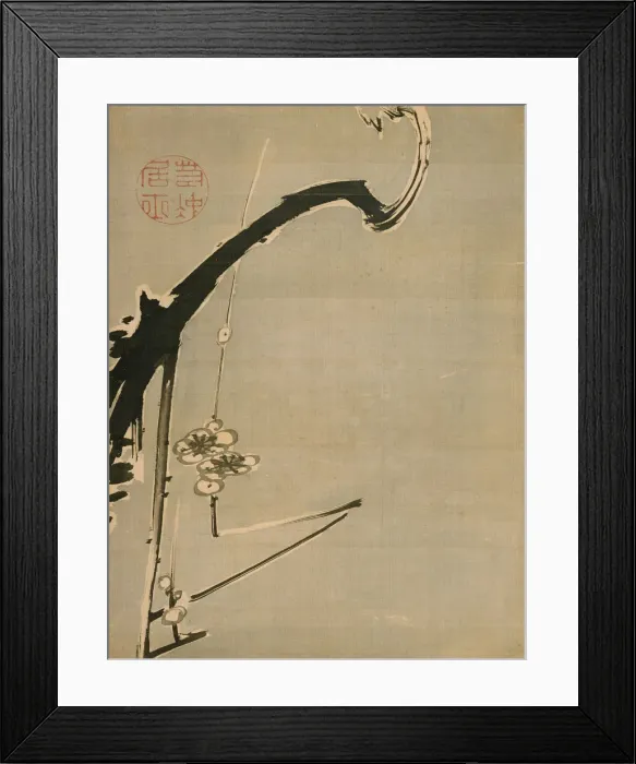 Framed Print : Plum Blossoms, 18th century. Artist: Jakuchu, Ito (1716-1800) Framed Print : Plum Blossoms, 18th century. Artist: Jakuchu, Ito (1716-1800)