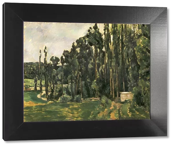 Poplars, 1879-1880. Artist: Cezanne, Paul (1839-1906)