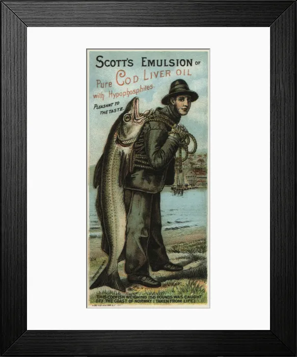 Framed Print : Scotts Emulsion, 1880. Artist: Gast, August (1819-1891) Framed Print : Scotts Emulsion, 1880. Artist: Gast, August (1819-1891)
