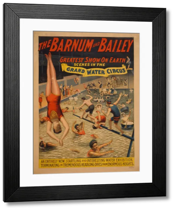 Framed Print : The Barnum & Bailey greatest show on earth. Scenes in the grand water circus, c. 1895. Artist: The Strobridge Lithographing Company Framed Print : The Barnum & Bailey greatest show on earth. Scenes in the grand water circus, c. 1895. Artist: The Strobridge Lithographing Company