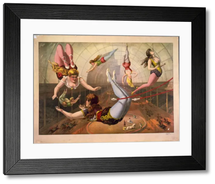 Framed Print : Female acrobats on trapezes at circus, c. 1890. Artist: Calvert Litho. Co Framed Print : Female acrobats on trapezes at circus, c. 1890. Artist: Calvert Litho. Co