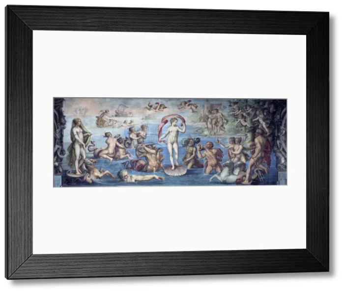 Framed Print : The Birth of Venus, 1556-1557. Artist: Vasari, Giorgio (1511-1574) Framed Print : The Birth of Venus, 1556-1557. Artist: Vasari, Giorgio (1511-1574)