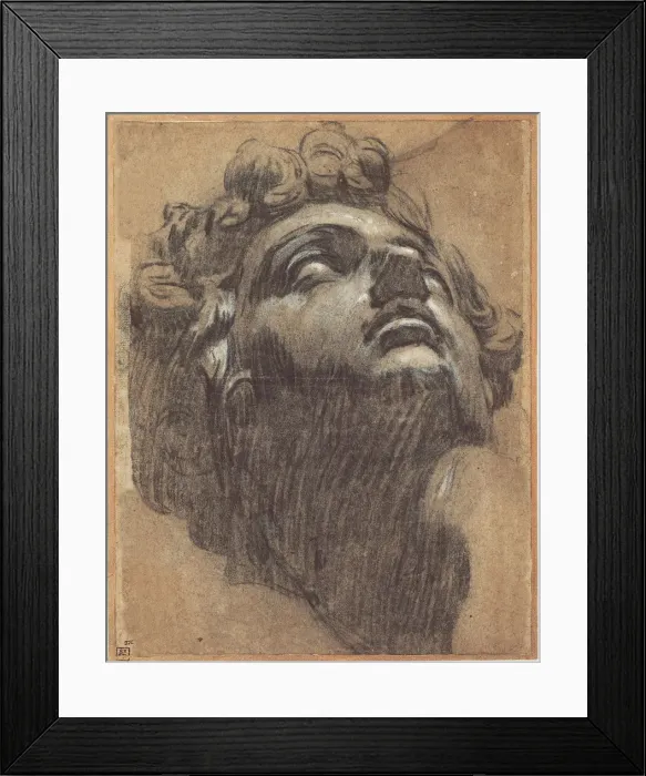Framed Print : Head of Giuliano de Medici (1479?1516), 1540s. Artist: Tintoretto, Jacopo (1518-1594) Framed Print : Head of Giuliano de Medici (1479?1516), 1540s. Artist: Tintoretto, Jacopo (1518-1594)