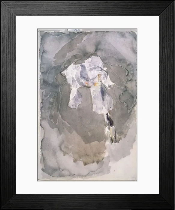 Framed Print : White iris. Artist: Vrubel, Mikhail Alexandrovich (1856-1910) Framed Print : White iris. Artist: Vrubel, Mikhail Alexandrovich (1856-1910)