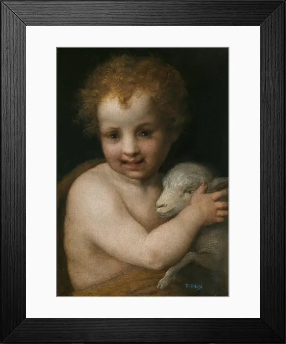 Framed Print : John the Baptist as child. Artist: Andrea del Sarto (1486-1531) Framed Print : John the Baptist as child. Artist: Andrea del Sarto (1486-1531)