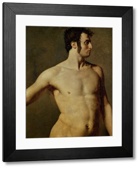 Framed Print : Male Torso. Artist: Ingres, Jean Auguste Dominique (1780-1867) Framed Print : Male Torso. Artist: Ingres, Jean Auguste Dominique (1780-1867)