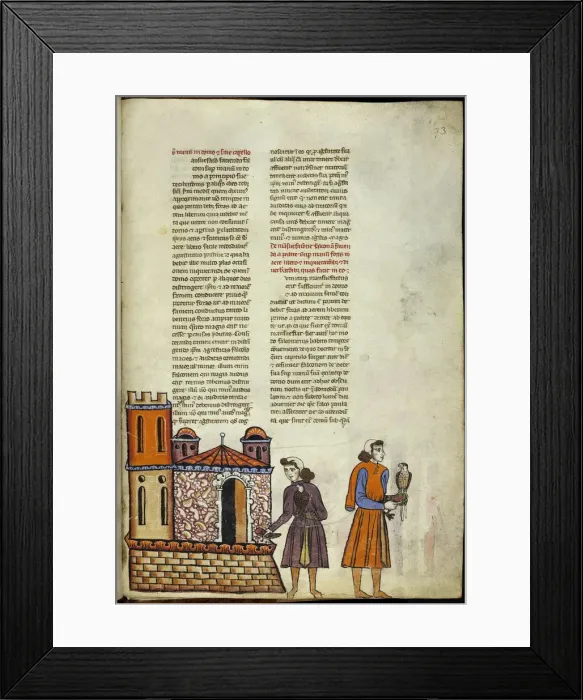 Framed Print : De Arte Venandi cum Avibus (On The Art of Hunting with Birds). Artist: Anonymous Framed Print : De Arte Venandi cum Avibus (On The Art of Hunting with Birds). Artist: Anonymous