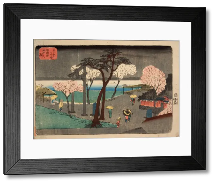 Framed Print : Cherry Trees in Rain on the Sumida River Embankment. (Sumida zutsumi uchu no sakura) by Hiroshige, Utagawa (1797-1858) Framed Print : Cherry Trees in Rain on the Sumida River Embankment. (Sumida zutsumi uchu no sakura) by Hiroshige, Utagawa (1797-1858)