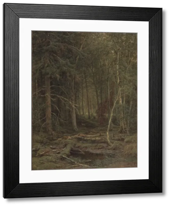 Framed Print : Backwoods. Artist: Shishkin, Ivan Ivanovich (1832-1898) Framed Print : Backwoods. Artist: Shishkin, Ivan Ivanovich (1832-1898)