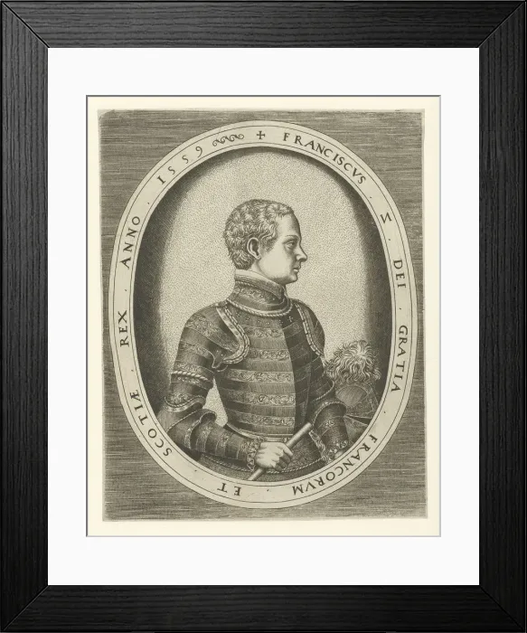 Framed Print : Portrait of Francis II of France (1544-1560), 1559. Artist: Huys, Frans (1522-1562) Framed Print : Portrait of Francis II of France (1544-1560), 1559. Artist: Huys, Frans (1522-1562)