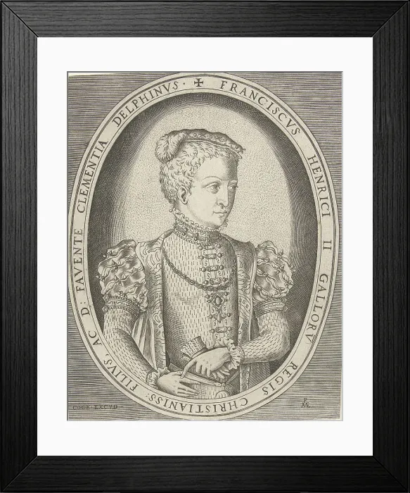 Framed Print : Portrait of Francis II of France (1544-1560). Artist: Heyden, Pieter, van der (1538-1572) Framed Print : Portrait of Francis II of France (1544-1560). Artist: Heyden, Pieter, van der (1538-1572)