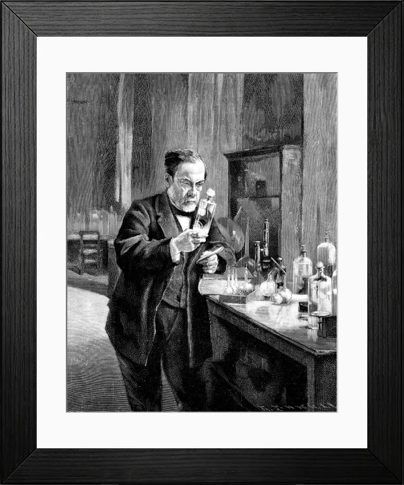 Framed Print : French chemist and microbiologist Louis Pasteur (1822?1895). Artist: Anonymous Framed Print : French chemist and microbiologist Louis Pasteur (1822?1895). Artist: Anonymous
