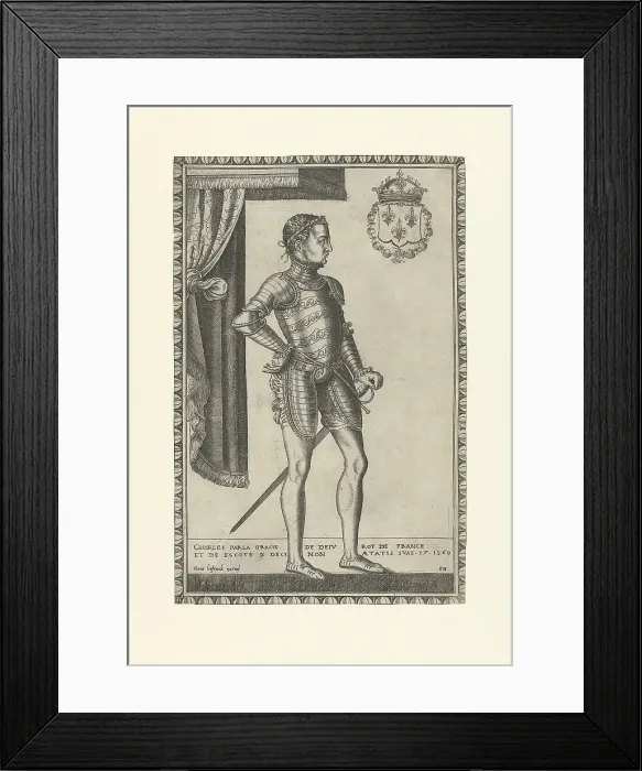 Framed Print : Portrait of King Charles IX of France (1550-1574), 1560s. Artist: Huys, Frans (1522-1562) Framed Print : Portrait of King Charles IX of France (1550-1574), 1560s. Artist: Huys, Frans (1522-1562)