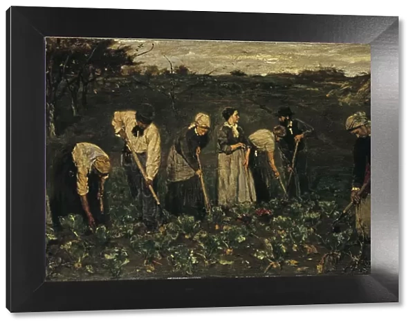 Workers on the beet field. Artist: Liebermann, Max (1847-1935)