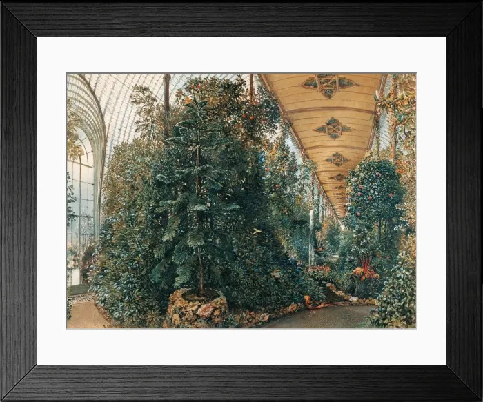 Framed Print : Interior of the Palm House of Lednice Palace. Artist: Alt, Rudolf von (1812-1905) Framed Print : Interior of the Palm House of Lednice Palace. Artist: Alt, Rudolf von (1812-1905)