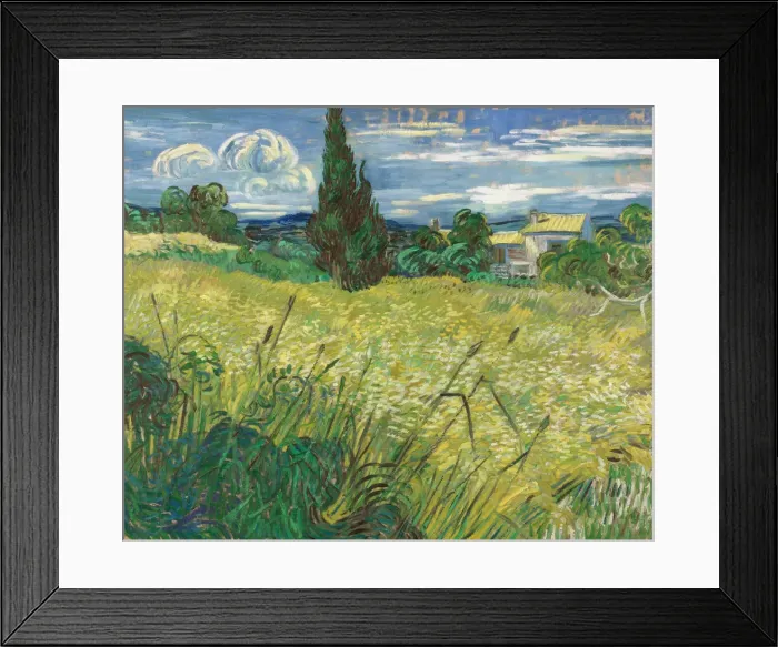 Framed Print : Green Wheat Field with Cypress. Artist: Gogh, Vincent, van (1853-1890) Framed Print : Green Wheat Field with Cypress. Artist: Gogh, Vincent, van (1853-1890)