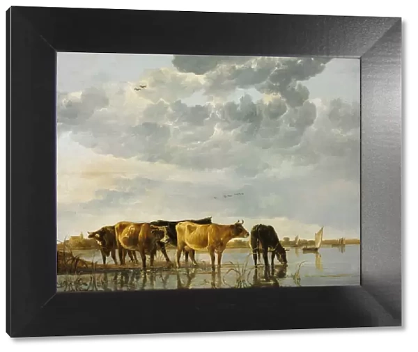 Cows in a River. Artist: Cuyp, Aelbert (1620-1691)