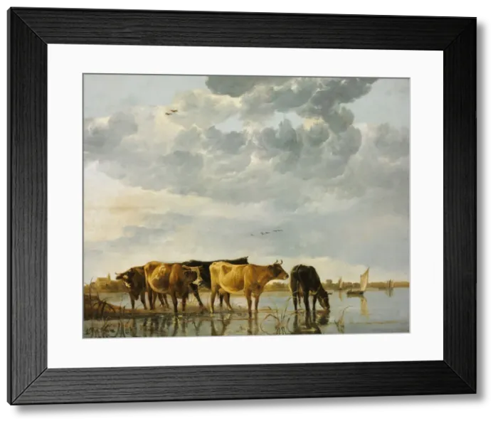 Framed Print : Cows in a River. Artist: Cuyp, Aelbert (1620-1691) Framed Print : Cows in a River. Artist: Cuyp, Aelbert (1620-1691)