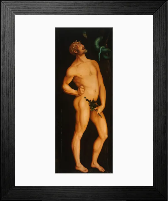 Framed Print : Adam. Artist: Baldung, Hans (1484-1545) Framed Print : Adam. Artist: Baldung, Hans (1484-1545)