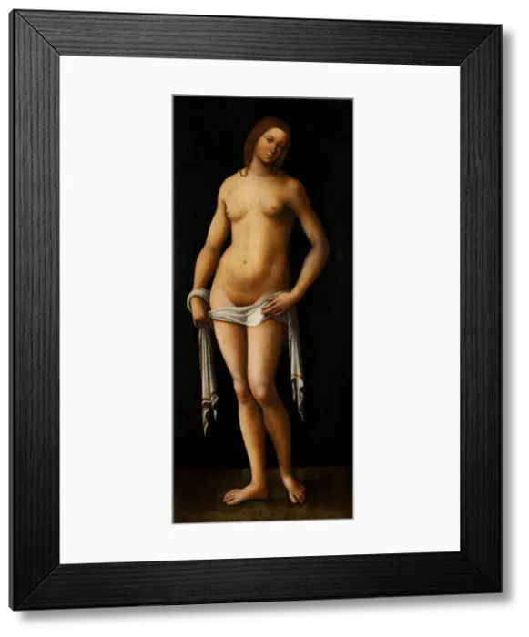 Framed Print : Venus. Artist: Costa, Lorenzo (1460-1535) Framed Print : Venus. Artist: Costa, Lorenzo (1460-1535)