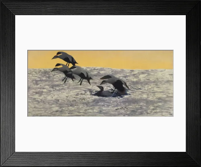 Framed Print : Morning Breeze. Artist: Liljefors, Bruno Andreas (1860-1939) Framed Print : Morning Breeze. Artist: Liljefors, Bruno Andreas (1860-1939)