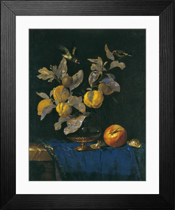 Framed Print : Still Life with Fruit. Artist: Aelst, Willem, van (1625- after 1683) Framed Print : Still Life with Fruit. Artist: Aelst, Willem, van (1625- after 1683)