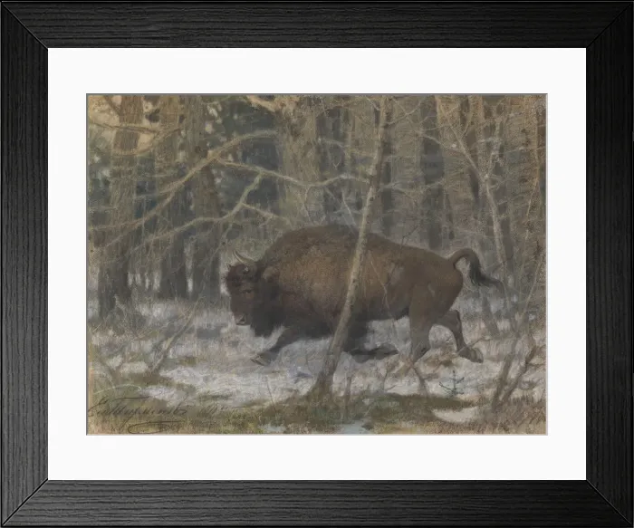 Framed Print : The wood bison. Artist: Tichmenev, Evgeny Alexandrovich (1869-1934) Framed Print : The wood bison. Artist: Tichmenev, Evgeny Alexandrovich (1869-1934)