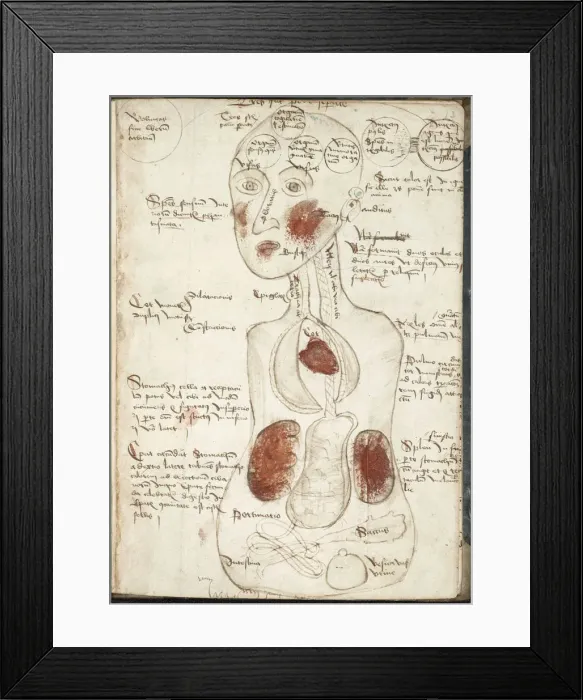 Framed Print : Representation of an Aristotelian Theory of Consciousness (From: De corpore et anima). Artist: Anonymous