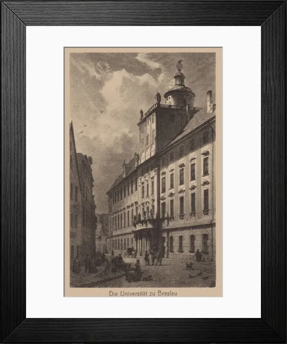 Framed Print : The University of Breslau. Artist: Anonymous Framed Print : The University of Breslau. Artist: Anonymous