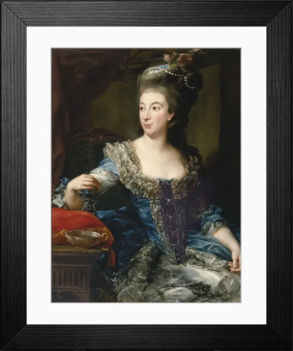 Framed Print : Portrait of the Countess Maria Benedetta di San Martino. Artist: Batoni, Pompeo Girolamo (1708-1787) Framed Print : Portrait of the Countess Maria Benedetta di San Martino. Artist: Batoni, Pompeo Girolamo (1708-1787)
