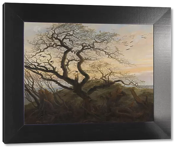The Tree of Crows. Artist: Friedrich, Caspar David (1774-1840)
