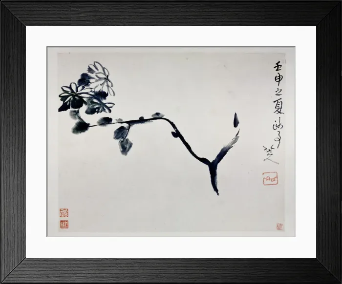 Framed Print : Chrysanthemum, 1692. Artist: Zhu Da, (Bada Shanren) (1625-1705) Framed Print : Chrysanthemum, 1692. Artist: Zhu Da, (Bada Shanren) (1625-1705)