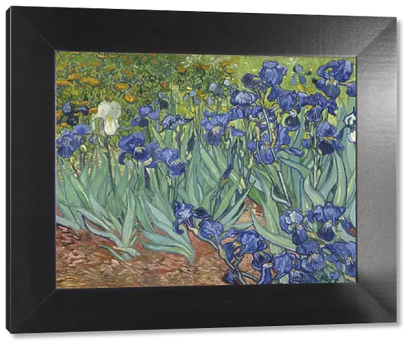 Irises, 1889. Artist: Gogh, Vincent, van (1853-1890)