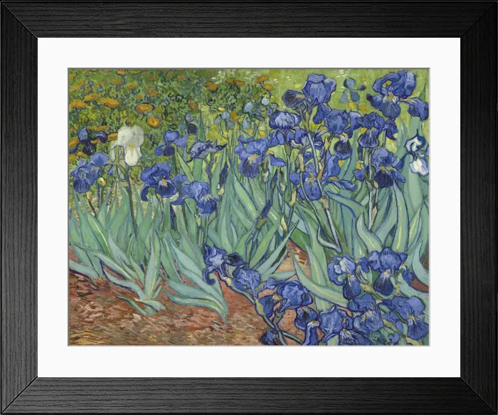 Framed Print : Irises, 1889. Artist: Gogh, Vincent, van (1853-1890) Framed Print : Irises, 1889. Artist: Gogh, Vincent, van (1853-1890)