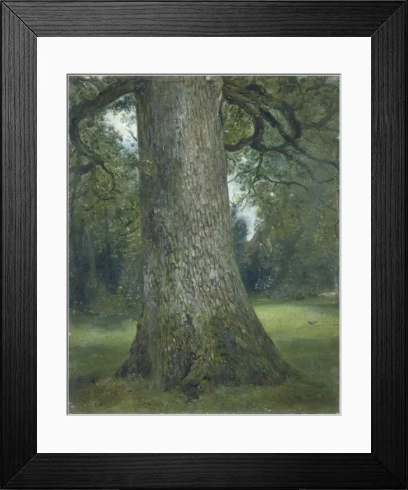 Framed Print : Study of the Trunk of an Elm Tree, c. 1824. Artist: Constable, John (1776-1837) Framed Print : Study of the Trunk of an Elm Tree, c. 1824. Artist: Constable, John (1776-1837)
