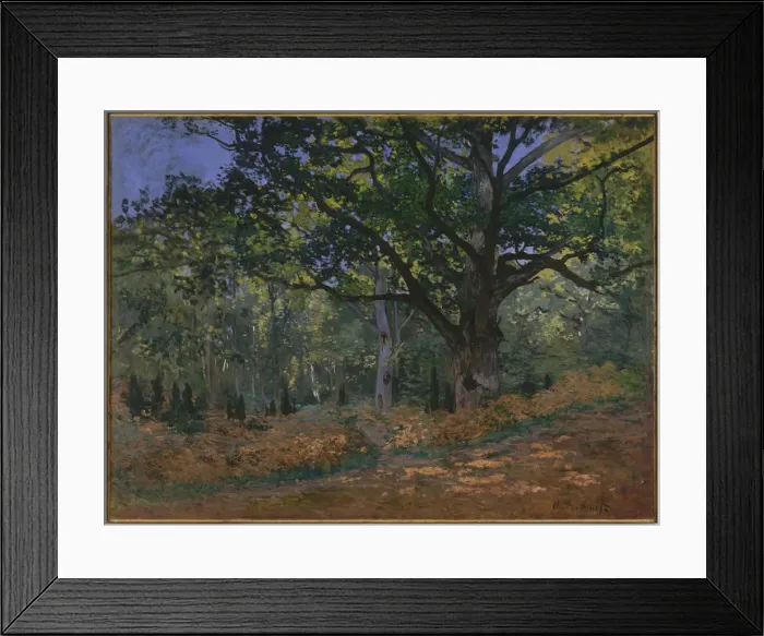 Framed Print : The Bodmer Oak, Fontainebleau Forest, 1865. Artist: Monet, Claude (1840-1926) Framed Print : The Bodmer Oak, Fontainebleau Forest, 1865. Artist: Monet, Claude (1840-1926)