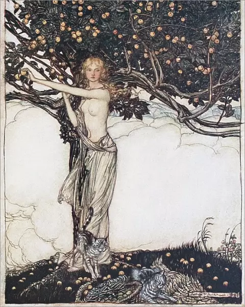 Freia, the fair one. Illustration for The Rhinegold and The Valkyrie by Richard Wagner, 1910. Artist: Rackham, Arthur (1867-1939)