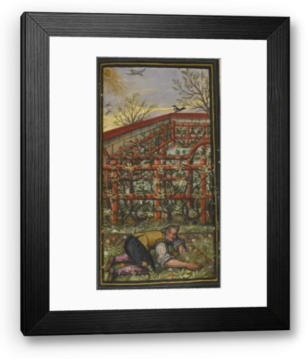 Framed Print : Illustration for The wonderful summer time of eternal life von Jacob Zader, 1603. Artist: Anonymous Framed Print : Illustration for The wonderful summer time of eternal life von Jacob Zader, 1603. Artist: Anonymous