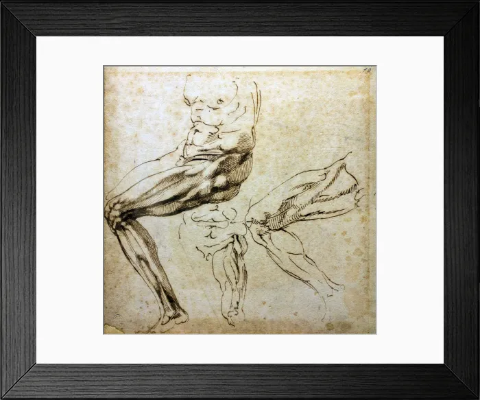 Framed Print : Studies of legs, 1524-1525. Artist: Buonarroti, Michelangelo (1475-1564) Framed Print : Studies of legs, 1524-1525. Artist: Buonarroti, Michelangelo (1475-1564)